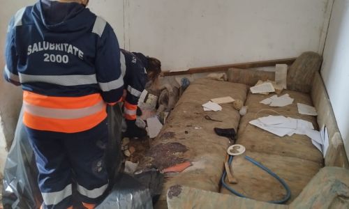 O profesoară din Pitești a ajuns să locuiască în condiții inumane