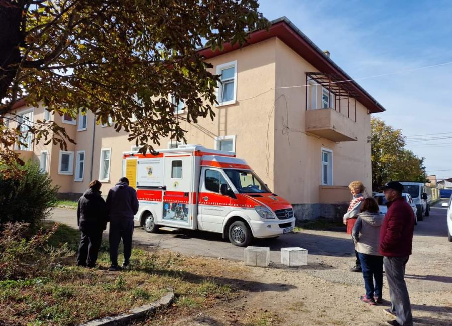Campanie de sterilizare a câinilor și pisicilor în comuna Bradu