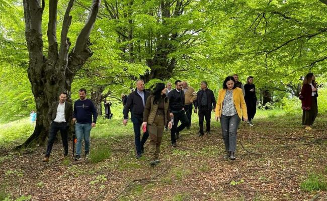 Simona Bucura Oprescu: ' Nucșoara are păduri cu povești nemuritoare'