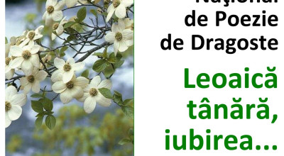 Centrul Cultural Piteşti, concurs naţional de poezie de dragoste