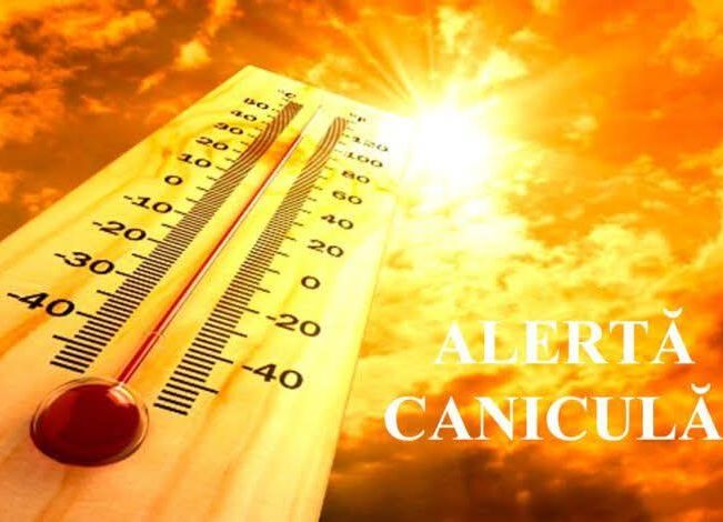 Cod galben de CANICULĂ în Argeș!