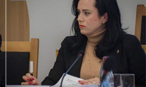 Simona Bucura Oprescu: 'Se pot înființa consorții administrative'