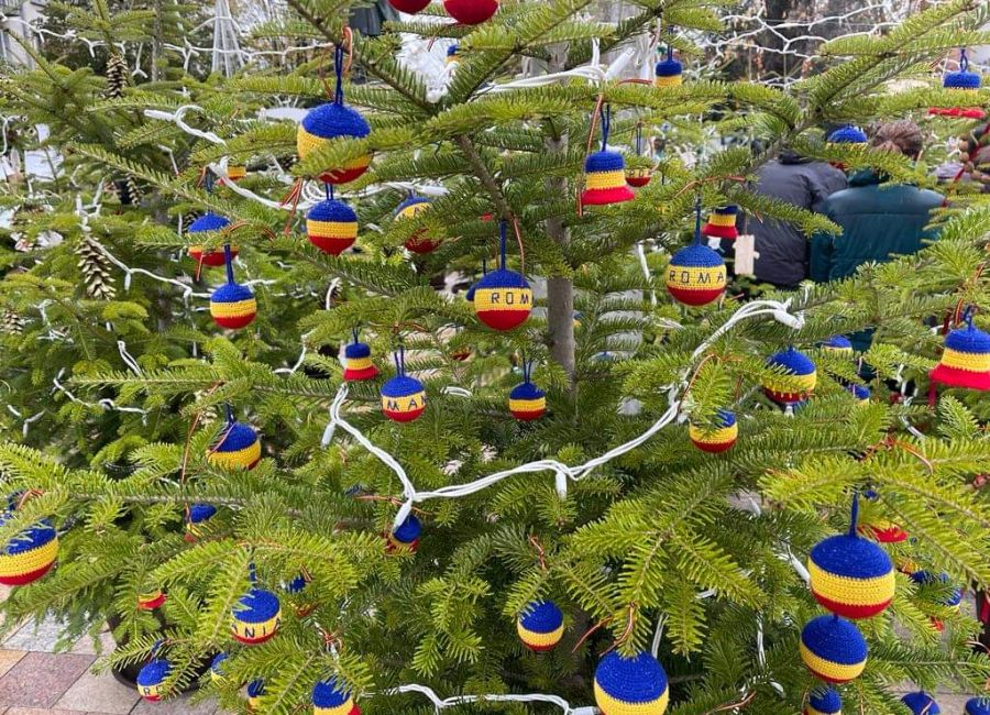 Expoziție inedită de brazi în cadrul Târgului de Crăciun de la Pitești