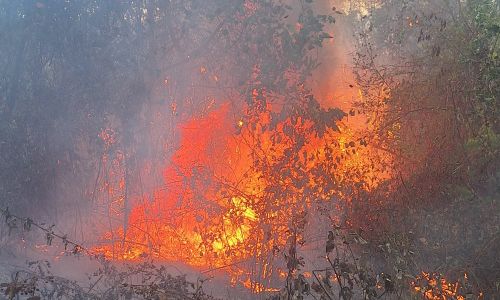 ACUM! INCENDIU puternic în Argeș