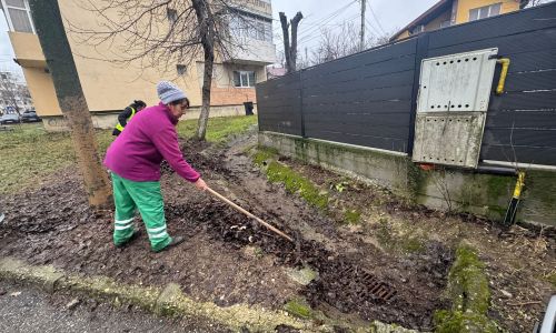 Angajații Servicii Edilitare pentru Comunitate Mioveni lucrează pentru colectarea frunzelor și a resturilor vegetale!
