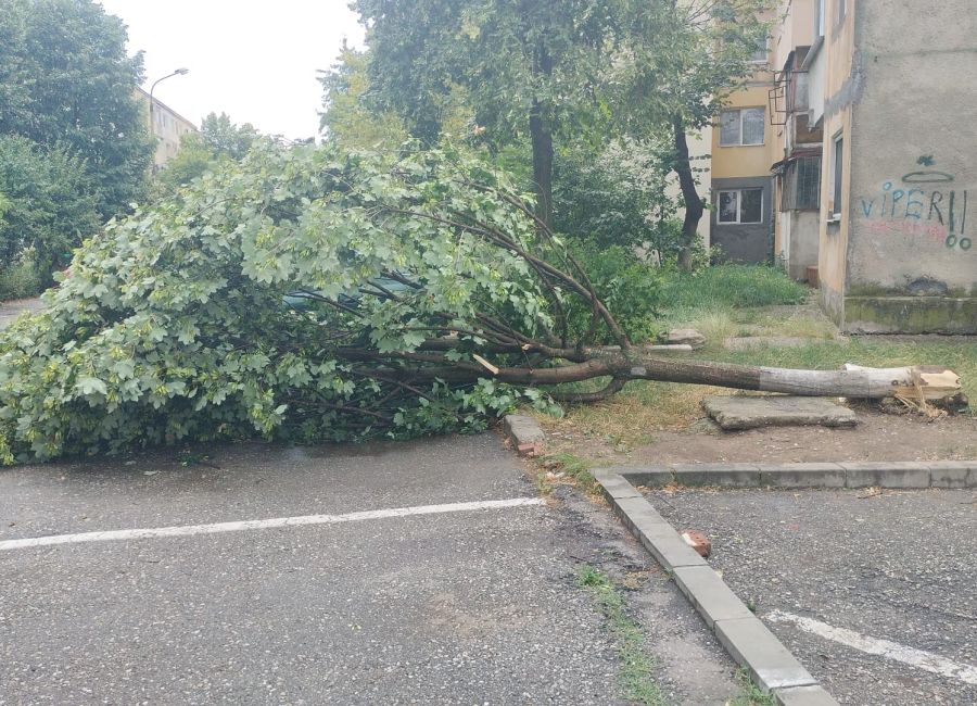 ACUM! Furtuna a făcut PRĂPĂD la Mioveni!