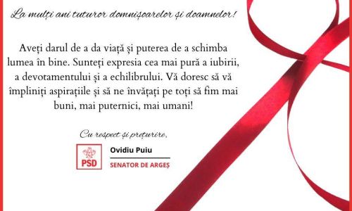 Felicitare Ovidiu Puiu, Senator de Argeș
