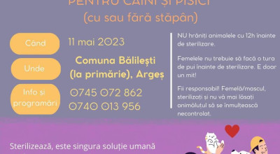 În comuna Bălileşti, campanie GRATUITĂ de sterilizare a câinilor şi pisicilor