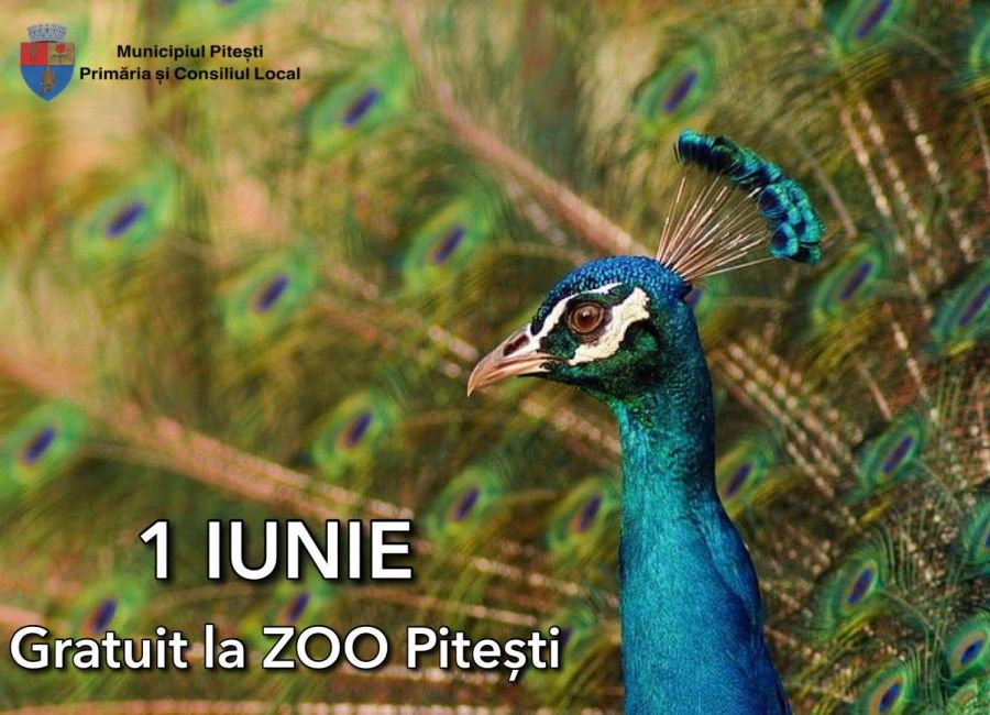 Intrare gratuită la Grădina Zoologică din Pitești, de 1 iunie!