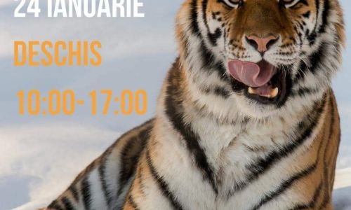 Grădina Zoologică Pitești, deschisă miercuri, 24 ianuarie