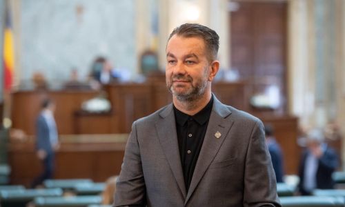 Ovidiu Puiu: "Reforma bugetară este necesară şi posibilă"