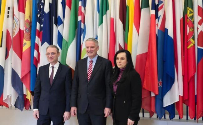 Ministrul Simona Bucura Oprescu, reuniune bilaterală cu secretarul general OCDE