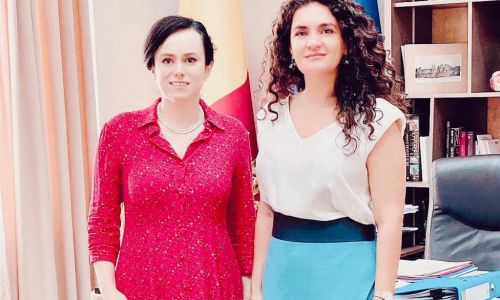 Simona Bucura Oprescu, întrevedere cu şefa Reprezentanţei Comisiei Europene în România