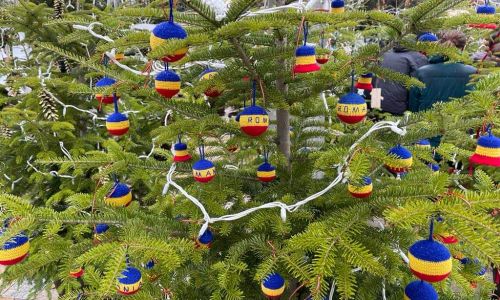 Expoziție inedită de brazi în cadrul Târgului de Crăciun de la Pitești