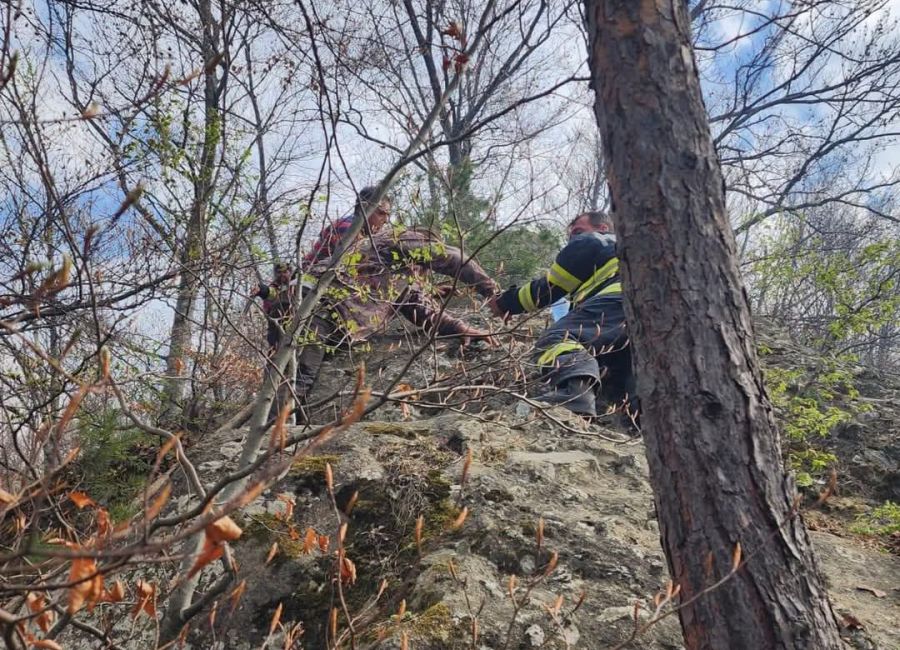 Incendiul de la Cetățeni a fost LICHIDAT! Totul a pornit de la o țigară