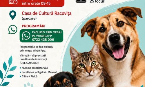 Campanie de sterilizări gratuite pentru câini și pisici în Mioveni