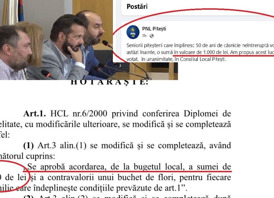 RUȘINICĂ! Liberalii piteșteni se laudă cu proiectul PSD!    VEZI DOVADA!