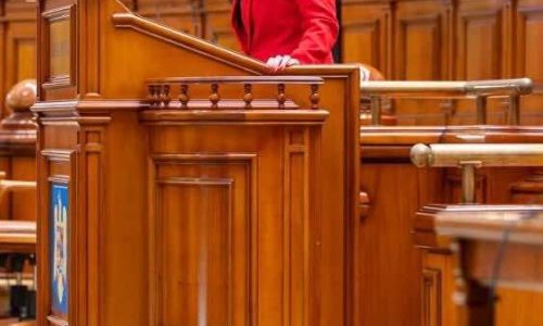 Simona Bucura Oprescu: "Este esențial ca Guvernul să își asume Programul PSD pentru relansare și creștere economică"
