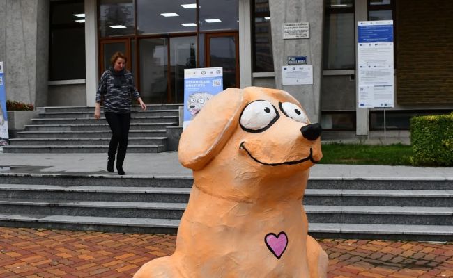 Bobiță, simbolul responsabilității față de animale în județul Argeș