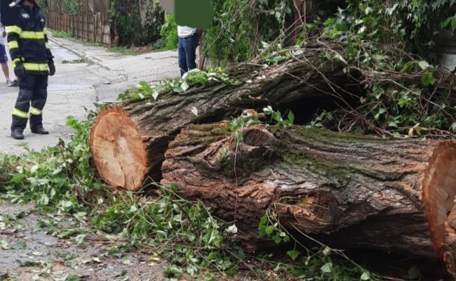 ACUM! Furtuna a făcut PRĂPĂD la Mioveni!