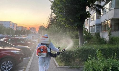 Tratamente fitosanitare de toamnă, în Pitești!