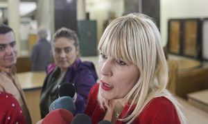 ANAF vinde terenurile şi maşinile Elenei Udrea