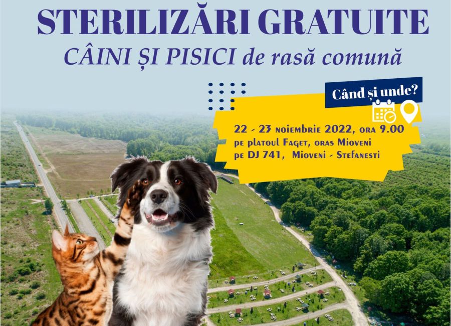 Campanie de sterilizare gratuită a câinilor și pisicilor