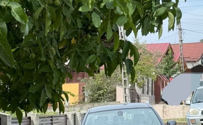 ACUM! Accident cu DOUĂ VICTIME în Argeș!