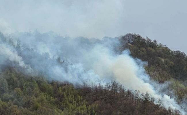 ACUM! INCENDIU URIAȘ în Argeș! ARDE o PĂDURE
