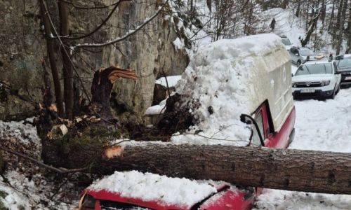Un copac a căzut peste o mașină în Argeș!