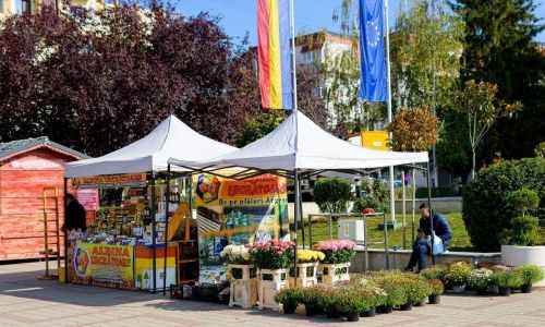 S-a încheiat Sărbătoarea Recoltei și Târgul Meșterilor Populari la Mioveni – trei zile închinate tradițiilor și gustului autentic românesc