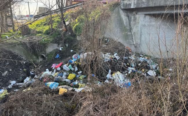 Lucrări de igienizare în comuna Budeasa