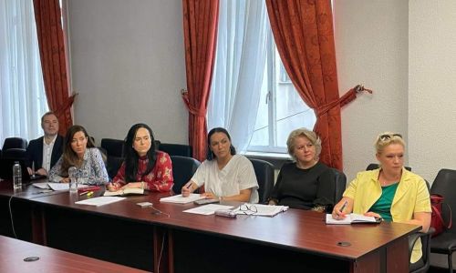 Simona Bucura Oprescu, întâlnire de lucru cu directorul general al SG Recover