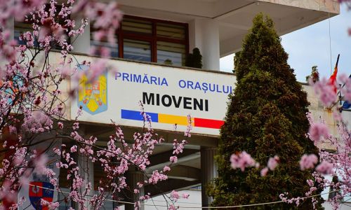 O nouă ședință de Consiliu Local, la Mioveni