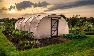 PSD va cere eliminarea impozitului pe solarii!