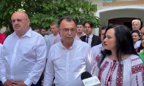 Aurel Costache: "Am votat pentru locuitorii orașului Mioveni"
