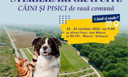 Campanie de sterilizare gratuită a câinilor și pisicilor
