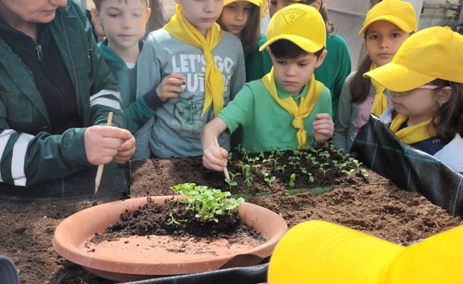 În 'Săptămâna Verde', elevii piteșteni învață cum se produc florile plantate în orașul lor