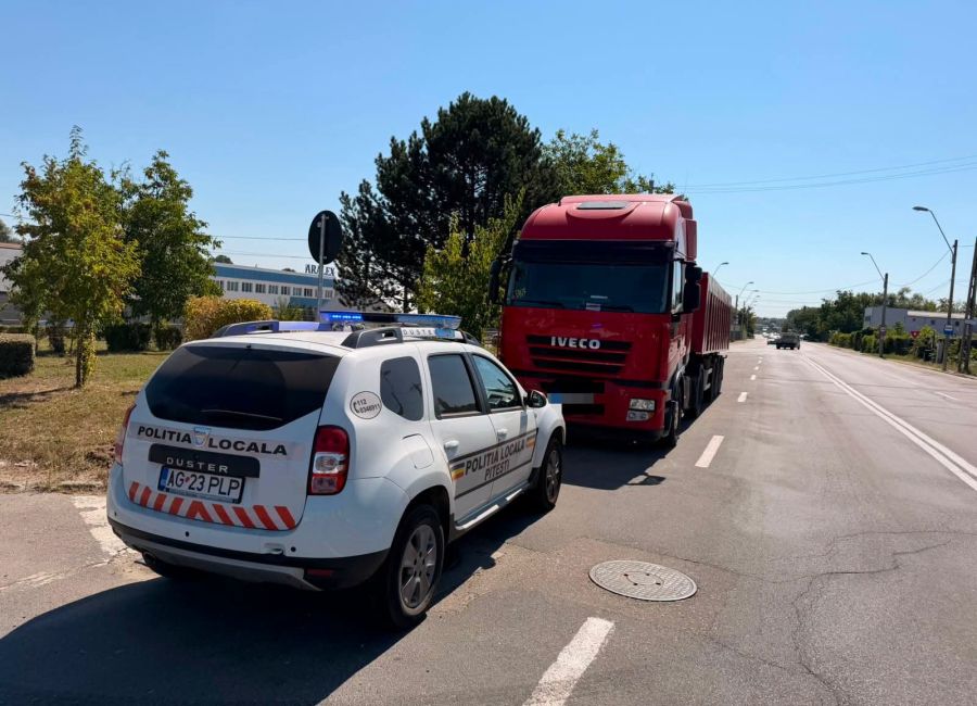 Poliția Locală Pitești: bilanțul activității în domeniul circulației rutiere - iulie 2026