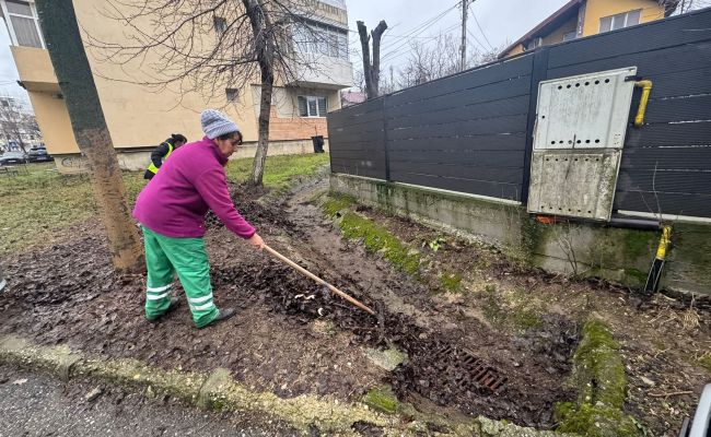 Angajații Servicii Edilitare pentru Comunitate Mioveni lucrează pentru colectarea frunzelor și a resturilor vegetale!