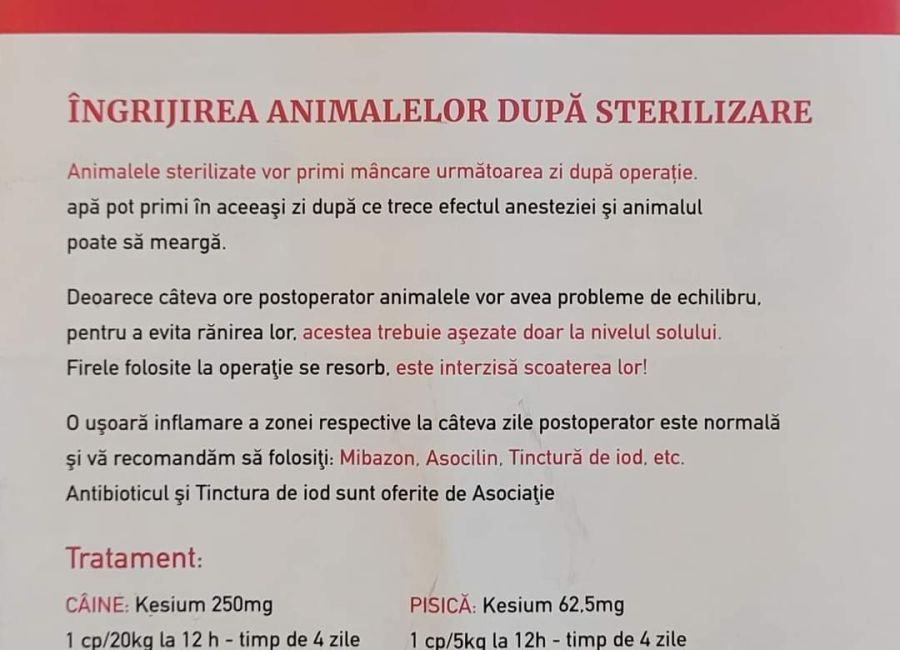 Acțiune de sterilizare a câinilor și pisicilor în comuna Bălilești