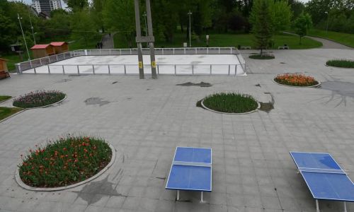 Noutate absolută la Simfonia Lalelelor