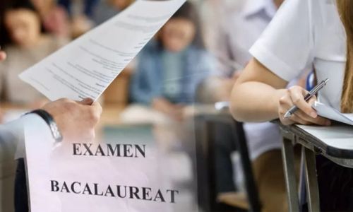 Cinci elevi din Argeş au fost eliminaţi în a doua probă a examenului de Bacalaureat