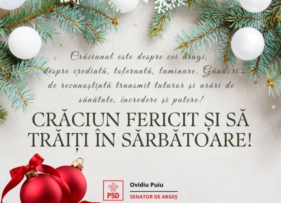 Senatorul Ovidiu Puiu, mesaj special de Crăciun!