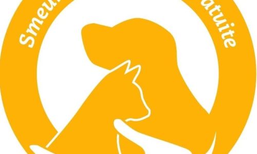 Primăria comunei Bradu lansează o campanie de sterilizare gratuită a câinilor fără stăpân!
