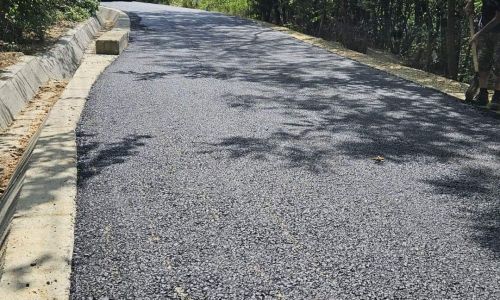 Lucrări de asfaltare în comuna Budeasa
