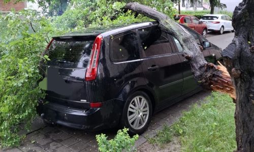 Intervenție de URGENȚĂ în Pitești! Copaci căzuți pe mașini!