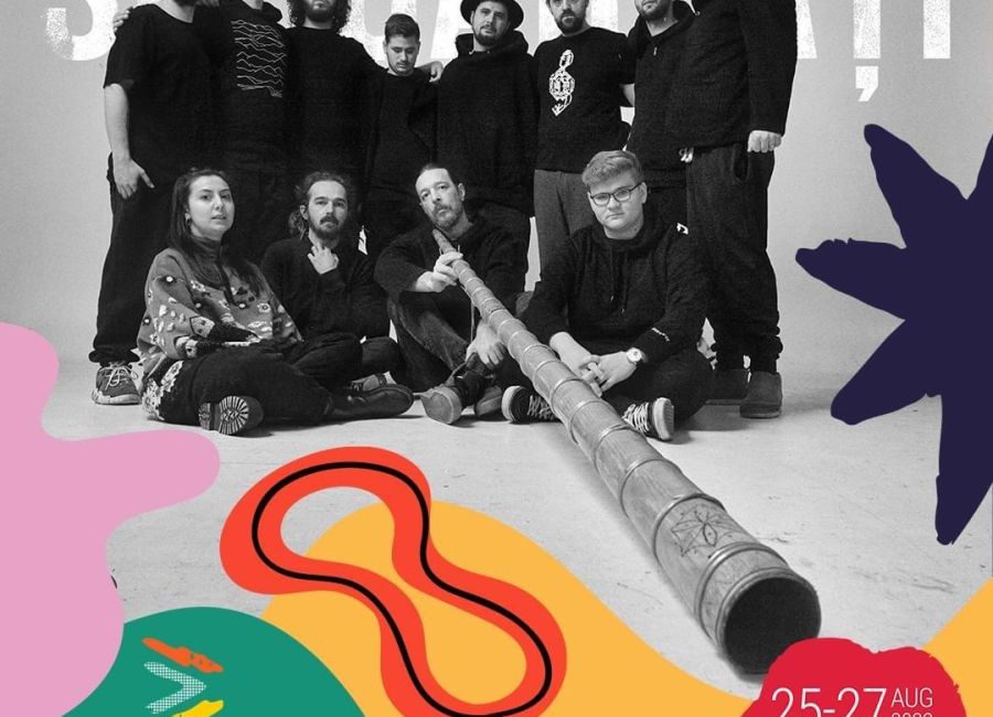 Subcarpați, pe scena Analogue Festival 2023