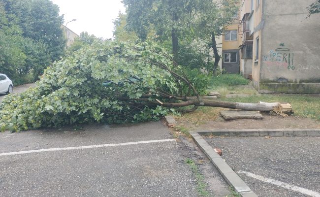 ACUM! Furtuna a făcut PRĂPĂD la Mioveni!