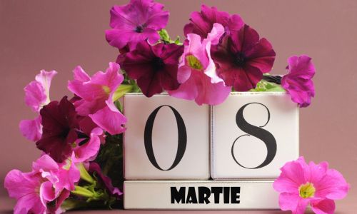 Felicitare PSD Piteşti